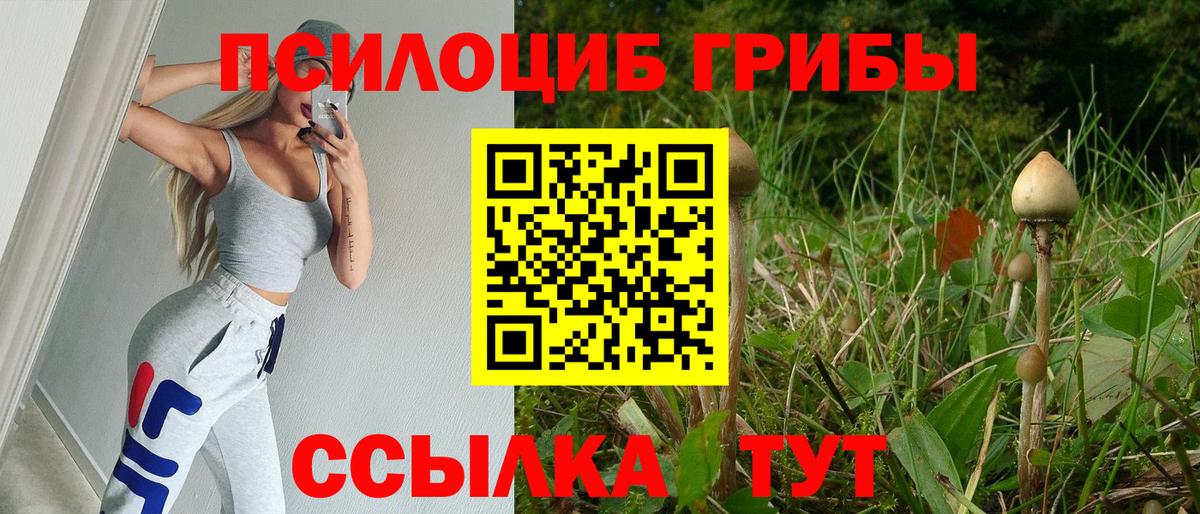 Псилоцибиновые грибы ЛСД  Вход с VPN  Междуреченск  Псилоцибиновые грибы мицелий 