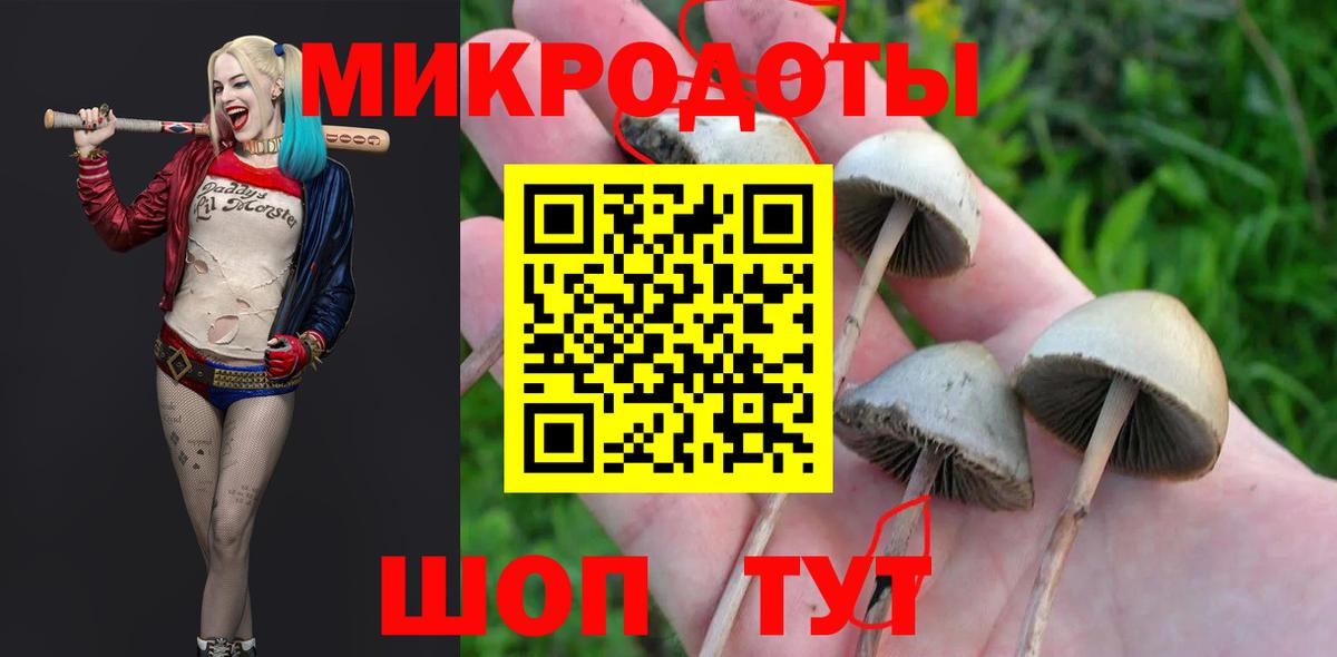 Псилоцибиновые грибы Magic Shrooms Междуреченск