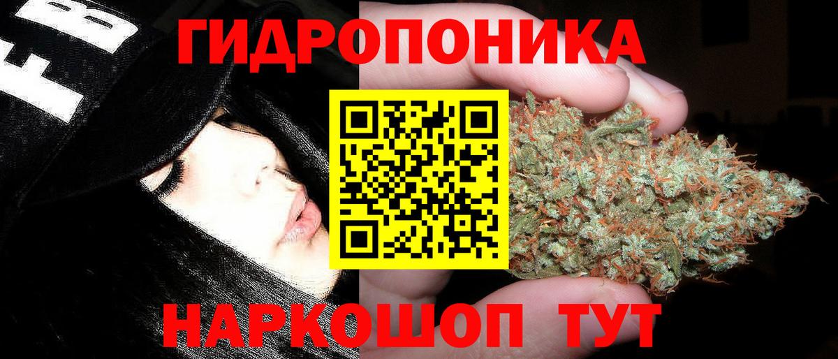 Бошки Шишки Amnesia Междуреченск